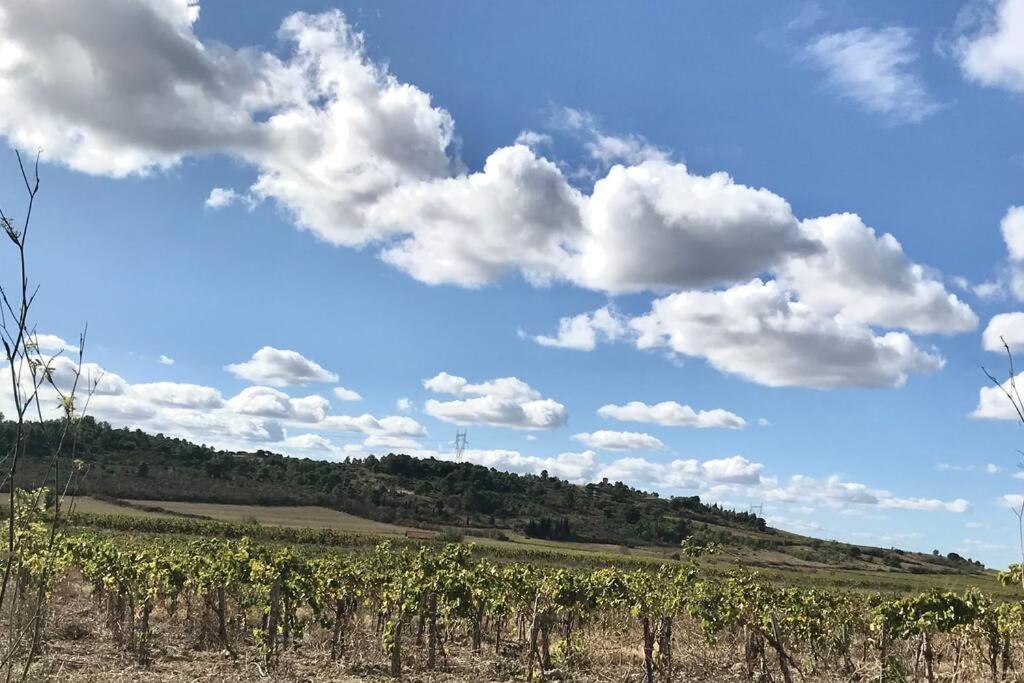 Appartement Le Jutini Caunes-Minervois Экстерьер фото